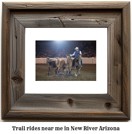 trail rides near me in New River, Arizona